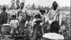 Dividends of the slave Trade For Negroes _FE(1)